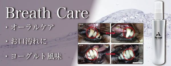Breath Care