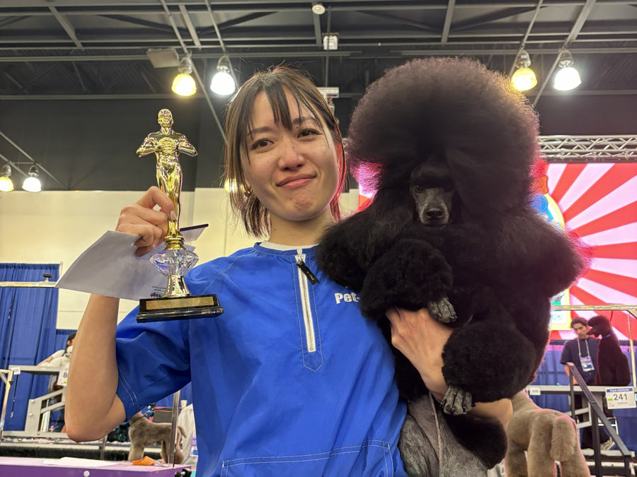 世界で活躍するプロの選択——トップグルーマー 畠山桃子×Pet-Cool