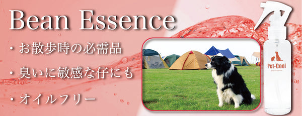 Bean Essence