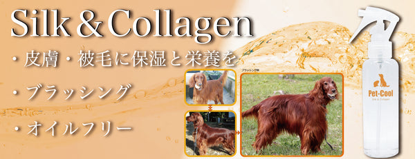 Silk&Collagen