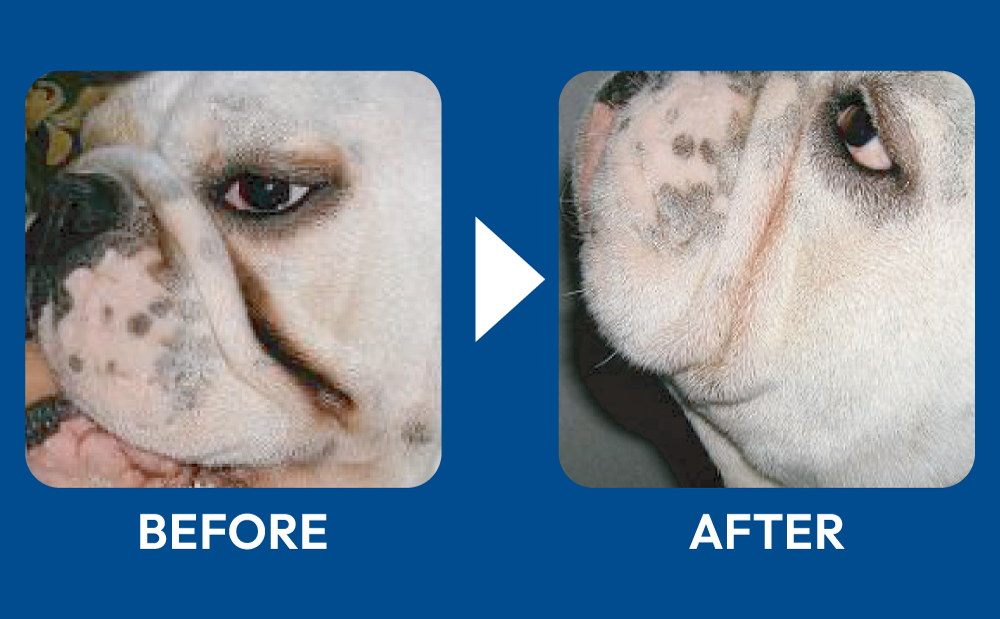 劇的BeforeAfterの
写真をアップ!!