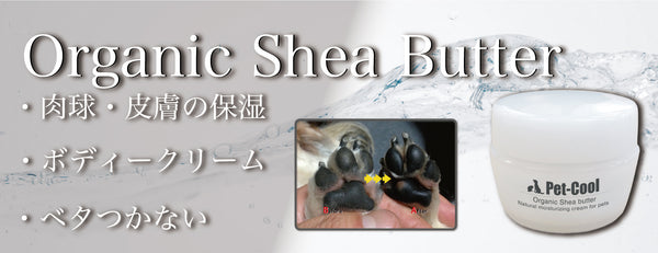 Organic Shea butter